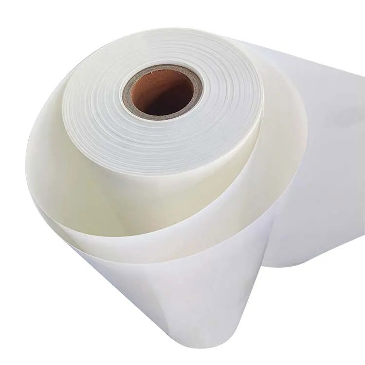 China Factory Supply Milky White And Transparent Motor Winding Electrical Mylar Insulation Polyester Film 6021 Pet Film