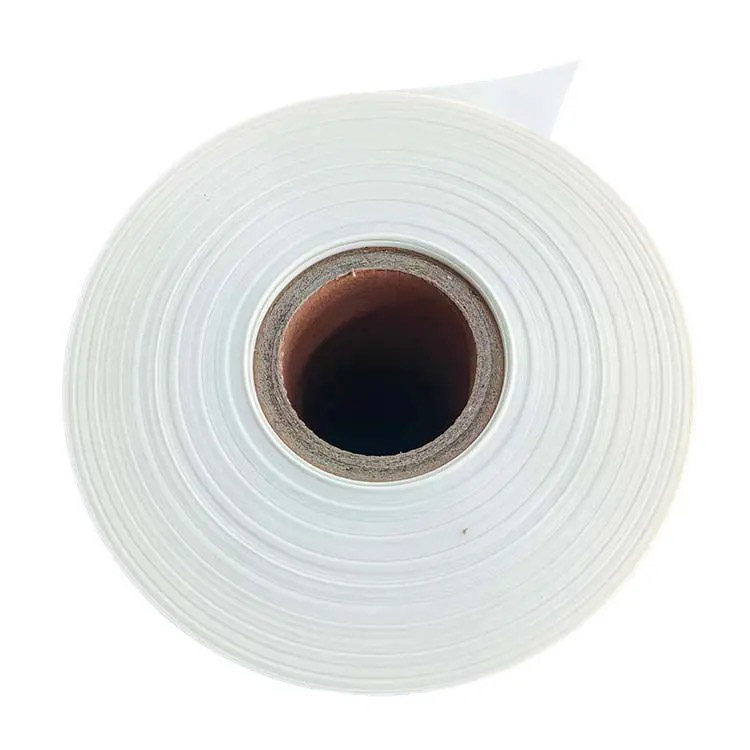 China Factory Supply Milky White And Transparent Motor Winding Electrical Mylar Insulation Polyester Film 6021 Pet Film